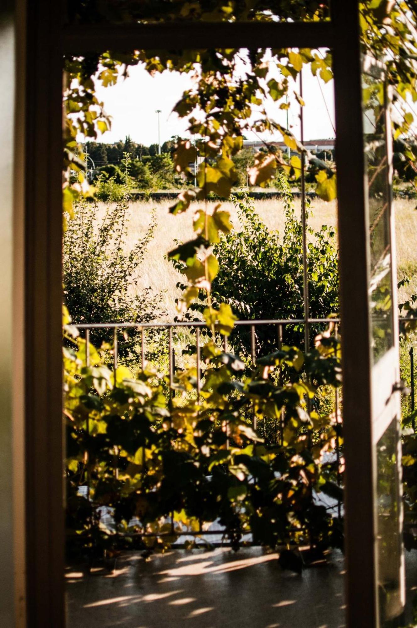Buonocore Guesthouse Bergamo Dış mekan fotoğraf